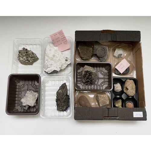 373 - An interesting collection of four identified rock and mineral specimens, comprising pyrite, zeolites... 