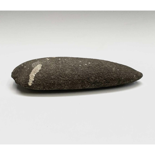 38 - A Neolithic stone axe head, reputedly found in West Penwith, length 21cm, together with another text... 