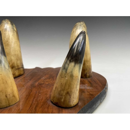 391 - A shield-shaped walnut and cow horn coat rack. Height 48cm overall.