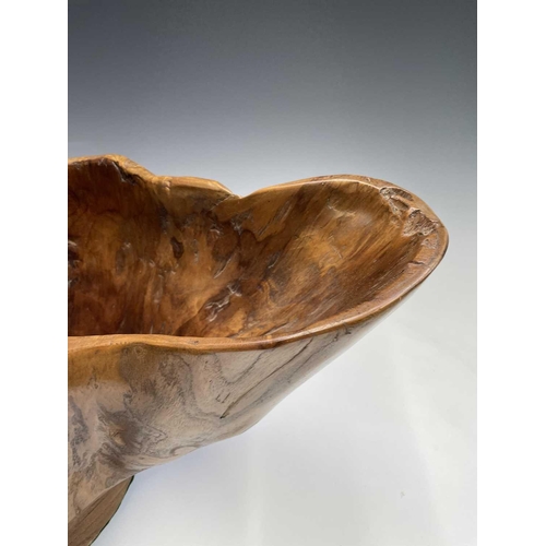 43 - A gnarled walnut large bowl, of rustic form, with misshapen rim, height 30cm, total width 58cm.