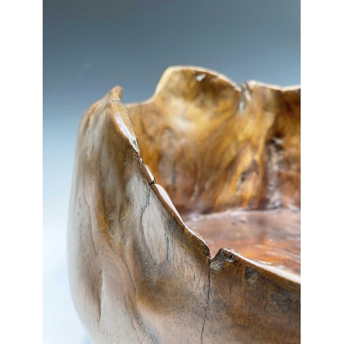 43 - A gnarled walnut large bowl, of rustic form, with misshapen rim, height 30cm, total width 58cm.