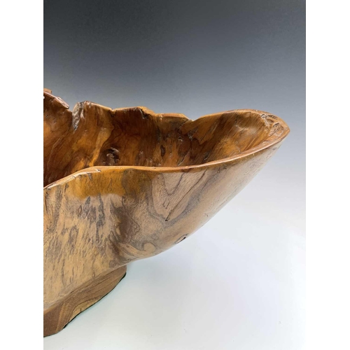 43 - A gnarled walnut large bowl, of rustic form, with misshapen rim, height 30cm, total width 58cm.