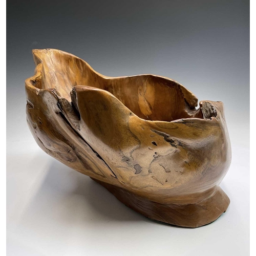 43 - A gnarled walnut large bowl, of rustic form, with misshapen rim, height 30cm, total width 58cm.