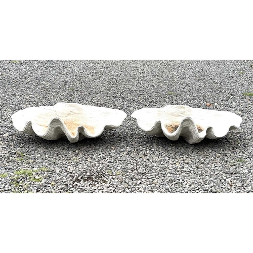 632 - A pair of reconstituted stone garden ornaments of giant clam shell form, width 62cm.