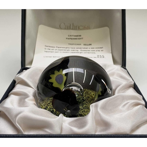 847 - Fifteen Caithness limited edition paperweights, comprising 'Sea Kelp', 'Sea Orchid', 'Space Flower',... 