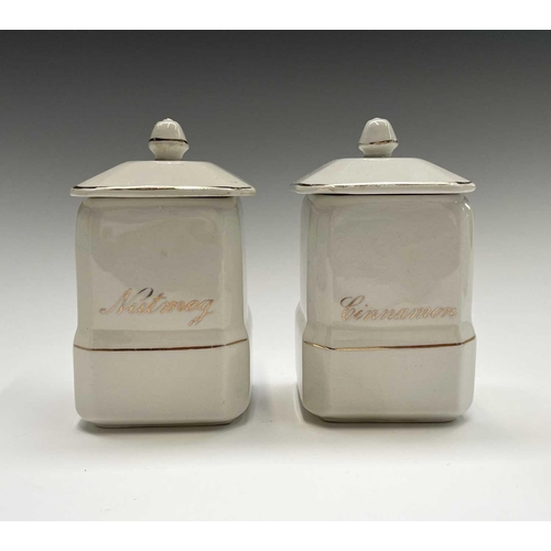 850 - A set of eleven early 20th century 'Empire Ware' kitchen storage jars, comprising five 19cm tall jar... 