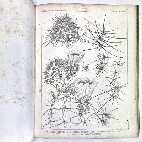 100 - BOTANICAL and AMERICAN INTEREST. 'Report on the Botany of the Expedition,' by J. M. Bigelow, part V ... 