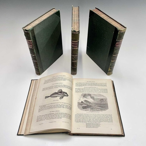 119 - NATURAL HISTORY. 'Cassell's Popular Natural History,' four volumes, profusely illustrated some with ... 