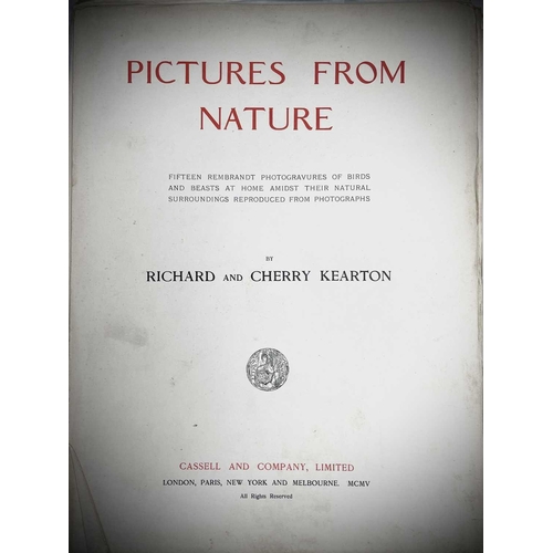 120 - NATURAL HISTORY. 'Pictures from Nature,' by Cherry Kearton, Fifteen Rembrandt Photogravures of which... 