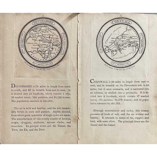 222 - MAPS. Seven maps depicting Cornwall, one of Penzance, and one of Devon, including a Walpole (1784) a... 