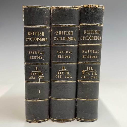 49 - NATURAL HISTORY. 'The British Cyclopaedia of Natural History,' by Charles F. Partington, three volum... 