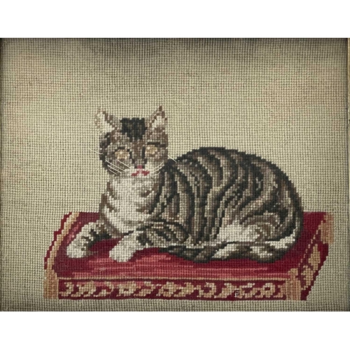 2808 - A Victorian Berlin woolwork picture of a cat, seated on a cushion, contained within a maple frame, i... 