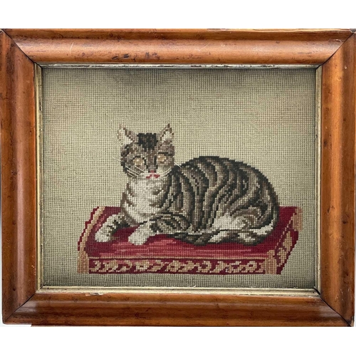 2808 - A Victorian Berlin woolwork picture of a cat, seated on a cushion, contained within a maple frame, i... 