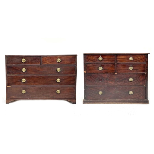 Lot 3033      