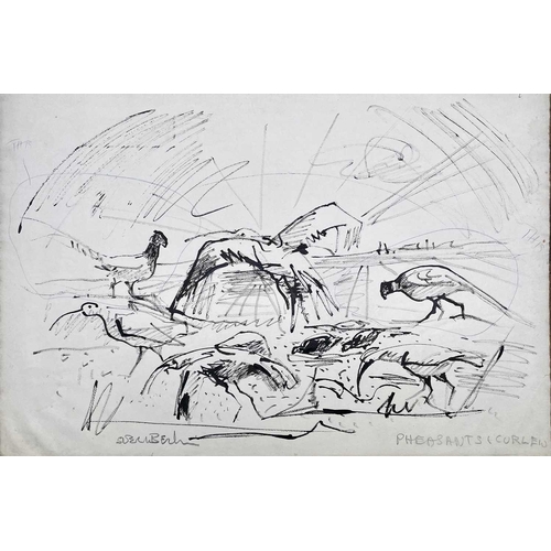 107 - Sven BERLIN (1911-1999) Pheasants & Curlews Ink and pen Signed and inscribed 40 x 59cm Together with... 