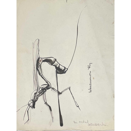 110 - Sven BERLIN (1911-1999) Drawings Mostly studies for sculpture and mostly on a small scale