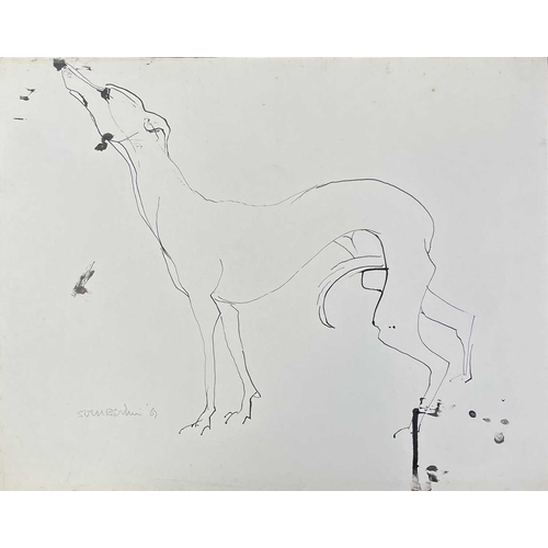 155 - Sven BERLIN (1911-1999) Whippet Ink drawing Signed and dated '67 40x50cm