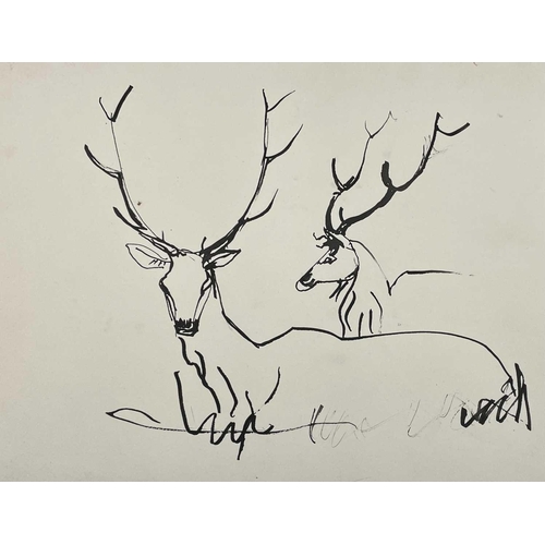 174 - Sven BERLIN (1911-1999) 
A collection of animal drawings