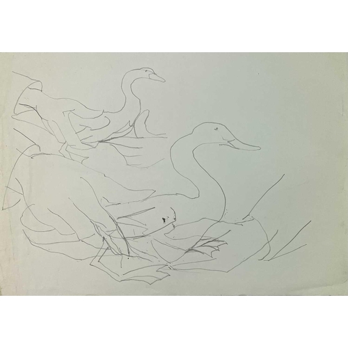 27 - Sven BERLIN (1911-1999) A collection of loose drawings of animals and people. Some of which are sign... 