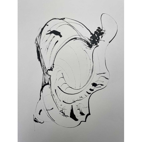 299 - Sven BERLIN (1911-1999) Spiral & shell studies 10 works Pen & ink and one monotype signed and dated ... 