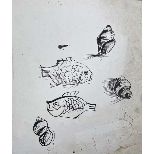 299 - Sven BERLIN (1911-1999) Spiral & shell studies 10 works Pen & ink and one monotype signed and dated ... 