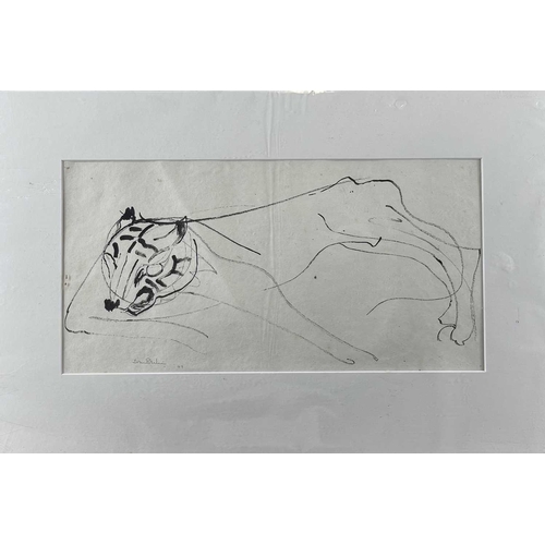 305 - Sven BERLIN (1911-1999) Various drawings Including an early ink study of a tiger signed and dated '4... 