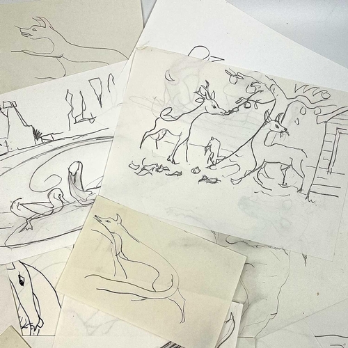 346 - Sven BERLIN (1911-1999) A collection of loose animal drawings Ink and pencil on paper 30x21cm