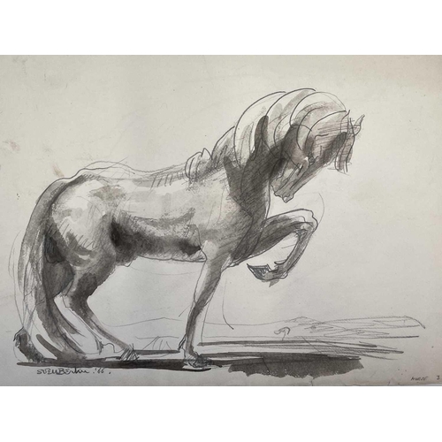 37 - Sven BERLIN (1911-1999) Twelve pencil and wash illustrations for 'Animals in Splendour and Decline' ... 