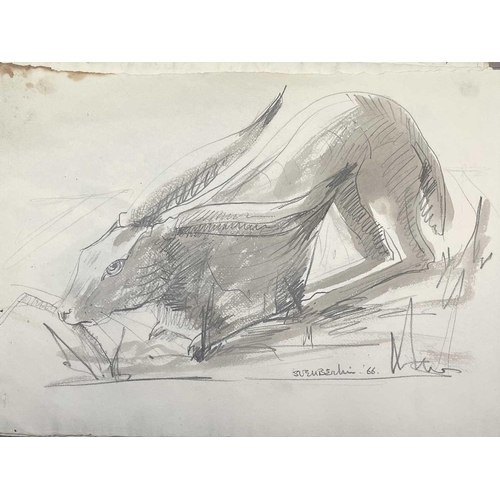 37 - Sven BERLIN (1911-1999) Twelve pencil and wash illustrations for 'Animals in Splendour and Decline' ... 