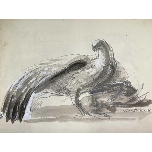 37 - Sven BERLIN (1911-1999) Twelve pencil and wash illustrations for 'Animals in Splendour and Decline' ... 