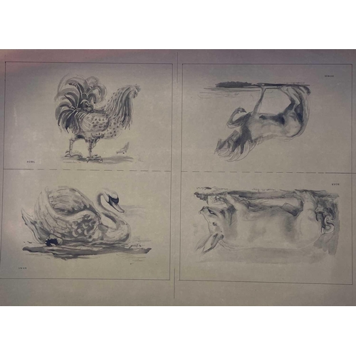 37 - Sven BERLIN (1911-1999) Twelve pencil and wash illustrations for 'Animals in Splendour and Decline' ... 