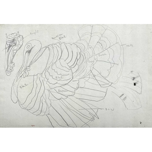 373 - Sven BERLIN (1911-1999) Cock Ink drawing Inscribed 28 x 38.5cm Together with various other bird draw... 