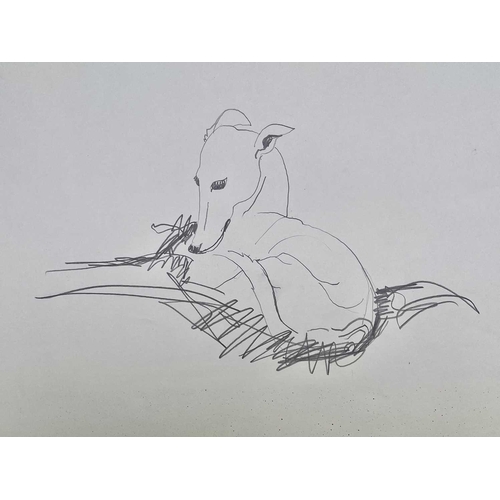 39 - Sven BERLIN (1911-1999) Various Greyhound studies on paper One signed and dated '67 Sven owned many ... 