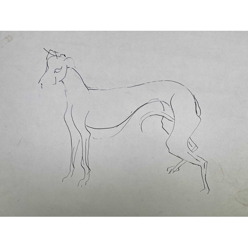 39 - Sven BERLIN (1911-1999) Various Greyhound studies on paper One signed and dated '67 Sven owned many ... 