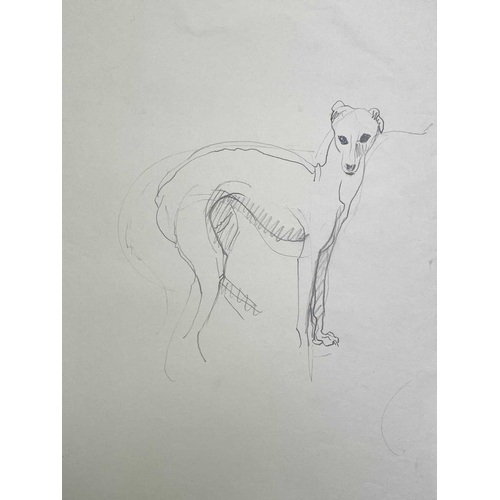 39 - Sven BERLIN (1911-1999) Various Greyhound studies on paper One signed and dated '67 Sven owned many ... 