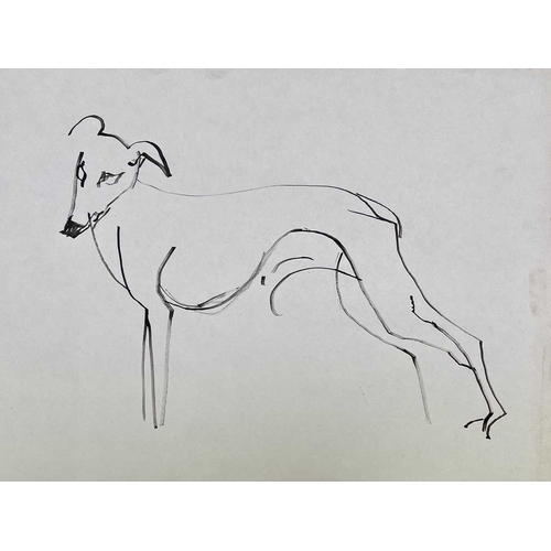 39 - Sven BERLIN (1911-1999) Various Greyhound studies on paper One signed and dated '67 Sven owned many ... 