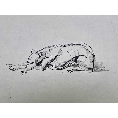 39 - Sven BERLIN (1911-1999) Various Greyhound studies on paper One signed and dated '67 Sven owned many ... 