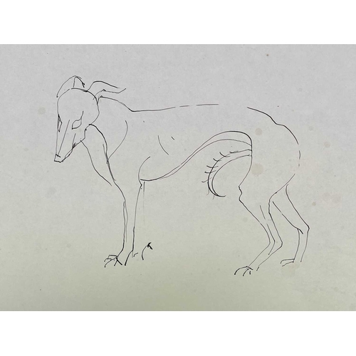 39 - Sven BERLIN (1911-1999) Various Greyhound studies on paper One signed and dated '67 Sven owned many ... 