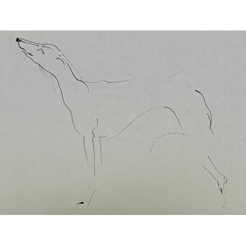 39 - Sven BERLIN (1911-1999) Various Greyhound studies on paper One signed and dated '67 Sven owned many ... 