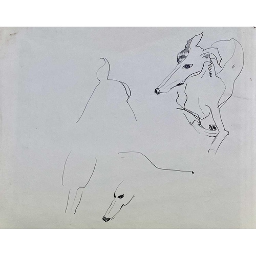 39 - Sven BERLIN (1911-1999) Various Greyhound studies on paper One signed and dated '67 Sven owned many ... 