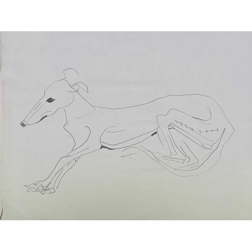 39 - Sven BERLIN (1911-1999) Various Greyhound studies on paper One signed and dated '67 Sven owned many ... 