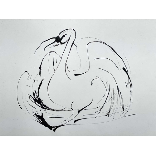 395 - Sven BERLIN (1911-1999) Swan Ink and pen 42 x 60cm Together with various swan and other bird studies... 