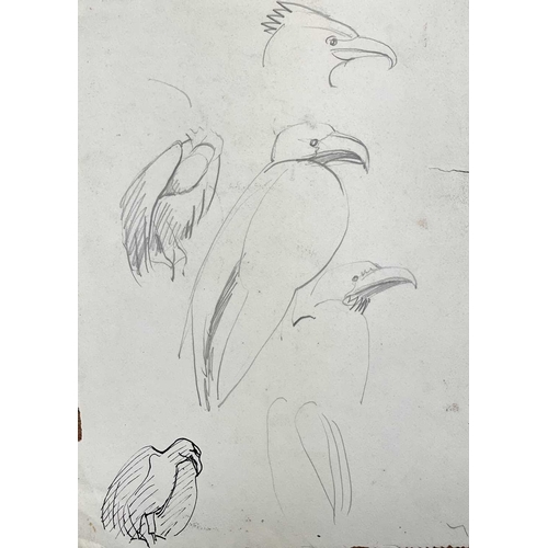 395 - Sven BERLIN (1911-1999) Swan Ink and pen 42 x 60cm Together with various swan and other bird studies... 