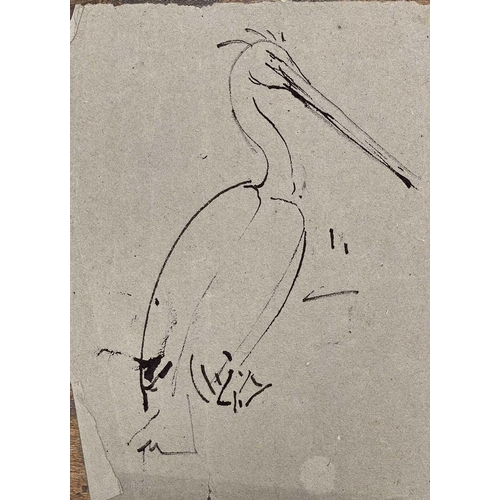 395 - Sven BERLIN (1911-1999) Swan Ink and pen 42 x 60cm Together with various swan and other bird studies... 