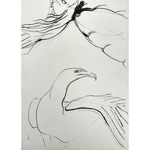 395 - Sven BERLIN (1911-1999) Swan Ink and pen 42 x 60cm Together with various swan and other bird studies... 