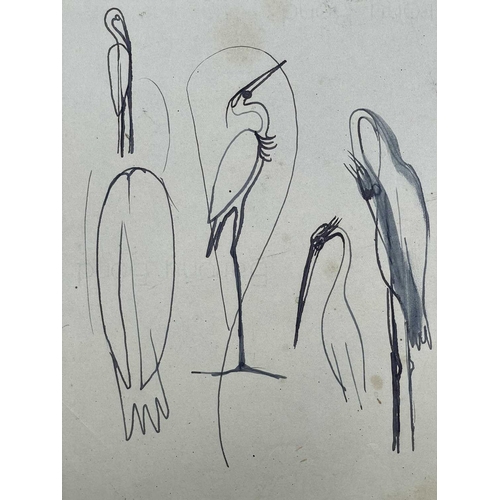 395 - Sven BERLIN (1911-1999) Swan Ink and pen 42 x 60cm Together with various swan and other bird studies... 