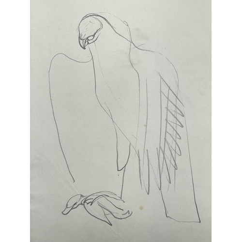 395 - Sven BERLIN (1911-1999) Swan Ink and pen 42 x 60cm Together with various swan and other bird studies... 