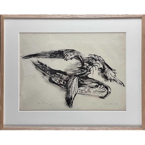 418 - Sven BERLIN (1911-1999) Dead Bird Ink drawing Signed, inscribed and dated '47 29x39cm