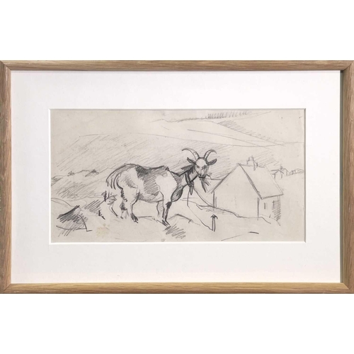 426 - Sven BERLIN (1911-1999) Goat in a Cornish Landscape, circa 1940 Pencil drawing Belgrave St Ives labe... 