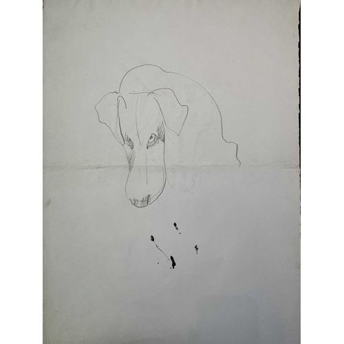 477 - Sven BERLIN (1911-1999) Five Animal drawings